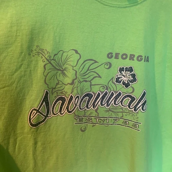 🌺Clearance or GWP Green Savannah tee 2x - Picture 2 of 5